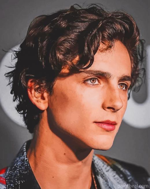 Chalamet Timothee Painting By Numbers Kits