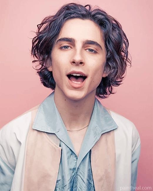 Timothee Chalamet Photoshoot Painting By Numbers Kits