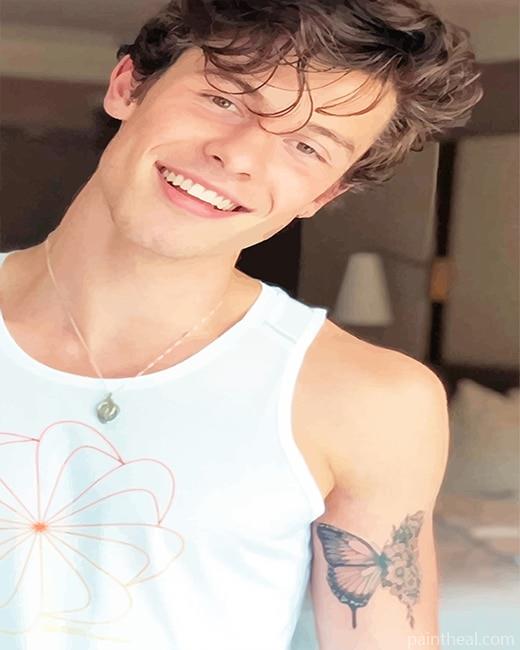 Handsome Shawn Mendes Painting By Numbers Kits