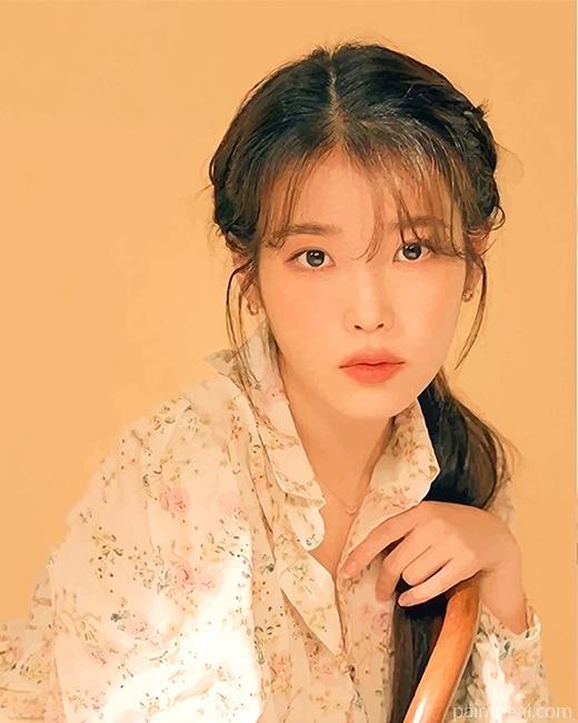 Singer IU Painting By Numbers Kits