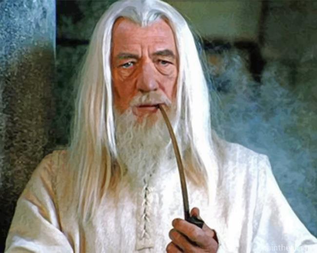 Gandalf Painting By Numbers Kits