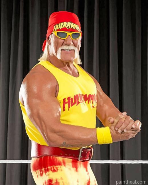 Wrestler Hulk Hogan Painting By Numbers Kits