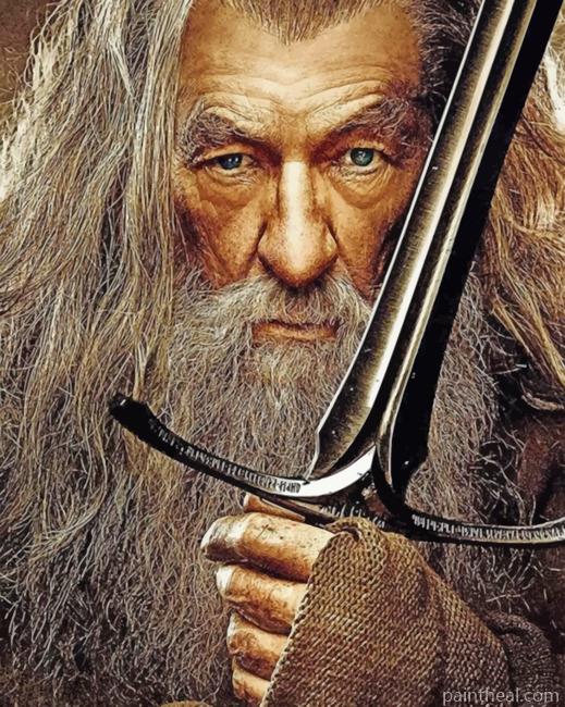 Gandalf Lord Of The Rings Painting By Numbers Kits