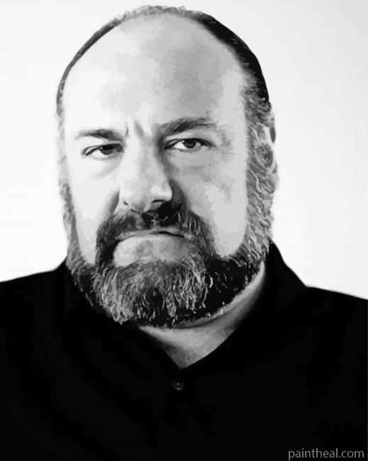James Gandolfini Painting By Numbers Kits