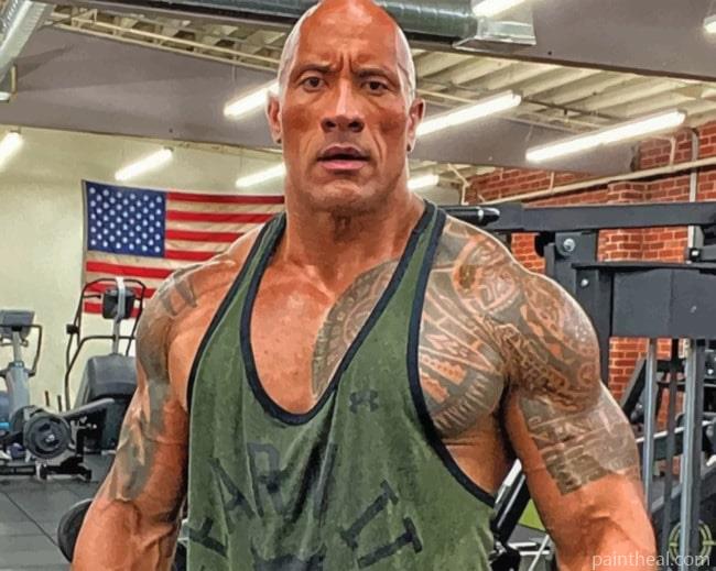 The Rock In A Gym Painting By Numbers Kits