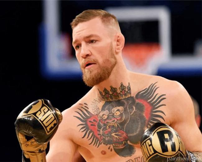 Handsome Conor Mcgregor Painting By Numbers Kits