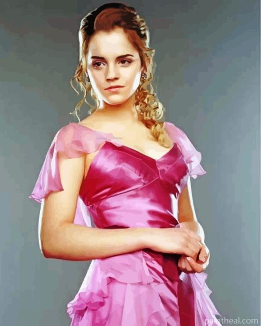 Hermione Granger Yule Ball Painting By Numbers Kits
