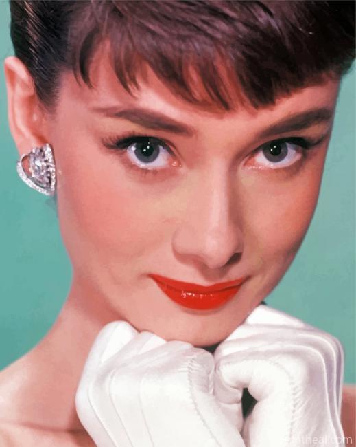 The Beautiful Audrey Hepburn Painting By Numbers Kits
