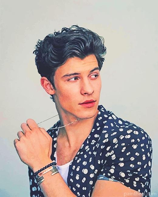 Shawn Mendes Singer Painting By Numbers Kits