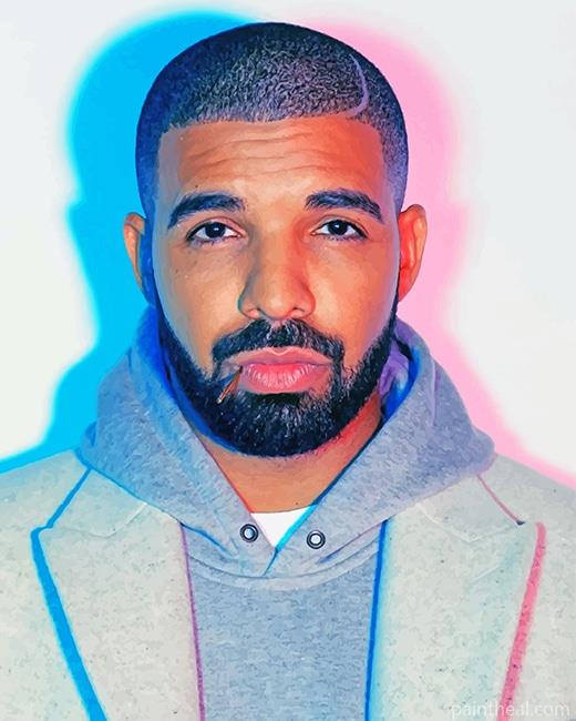 Drake Holtine Bling Painting By Numbers Kits