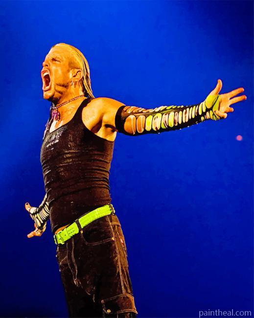 Jeff Hardy Wwe Champion Painting By Numbers Kits