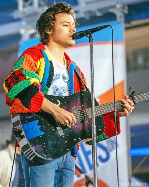 Harry Styles On Stage Painting By Numbers Kits