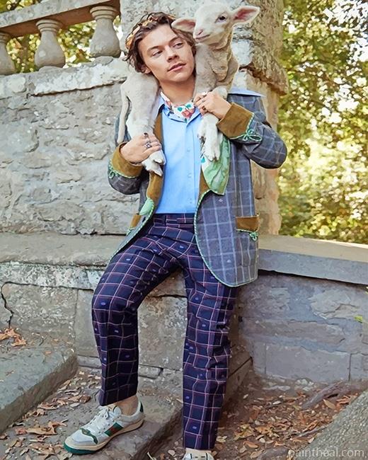 Harry Styles And Lamb Painting By Numbers Kits