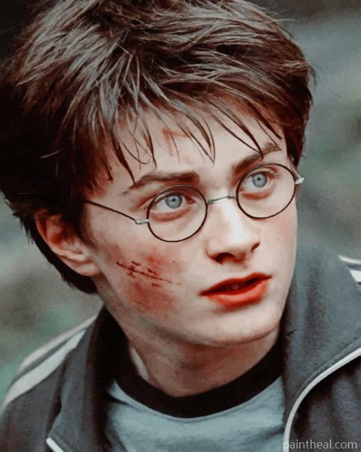 Harry Potter Painting By Numbers Kits