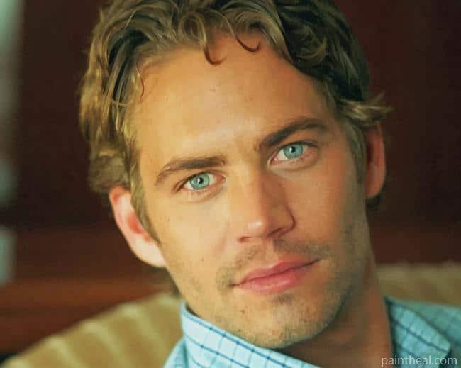 Paul Walker American Actor Painting By Numbers Kits