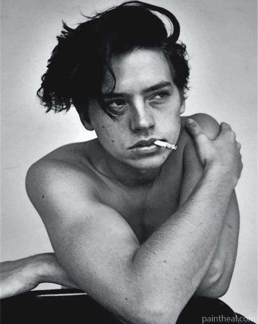 Cole Sprouse Smoking Painting By Numbers Kits