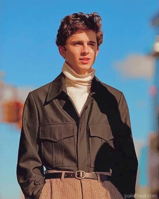 Timothee Chalamet Painting By Numbers Kits