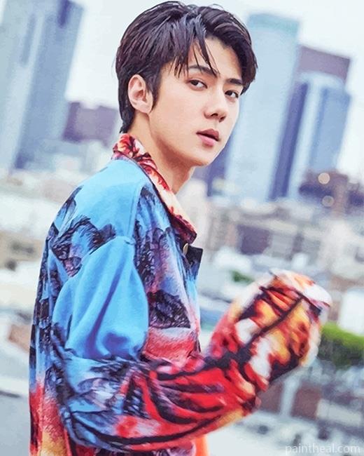 The Korean Sehun Painting By Numbers Kits
