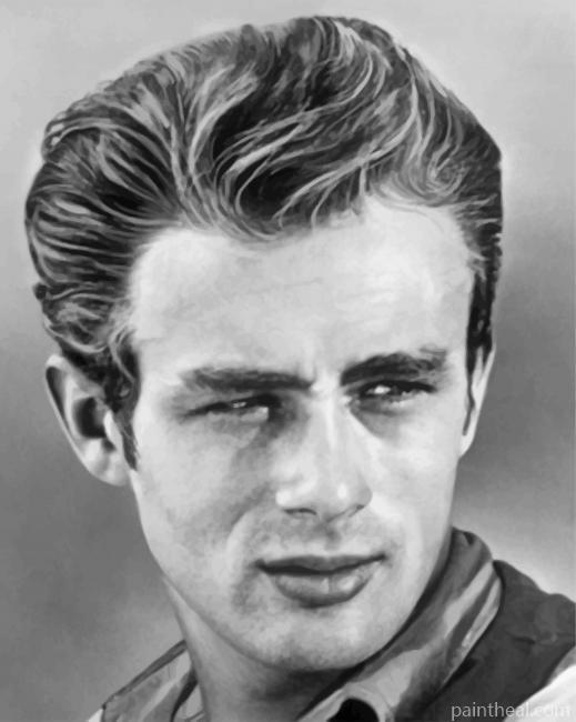 Black And White James Dean Painting By Numbers Kits