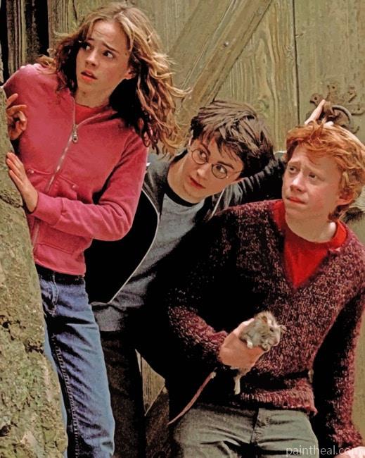 Harry Hermione And Ron Painting By Numbers Kits