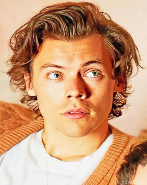 Cute Harry Edward Styles Painting By Numbers Kits