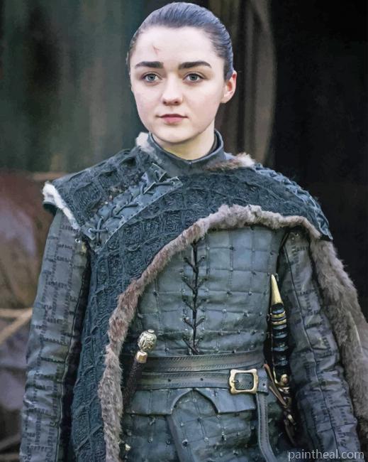 Arya Stark GOT Painting By Numbers Kits