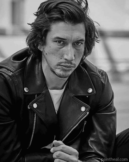 Adam Douglas Driver Painting By Numbers Kits