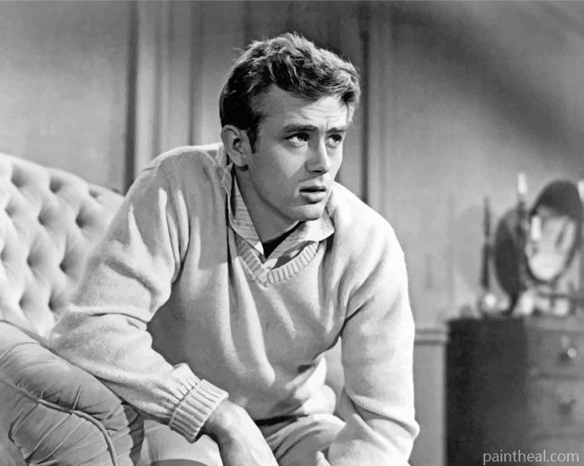 Handsome James Dean Painting By Numbers Kits