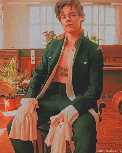 Harry Styles Painting By Numbers Kits