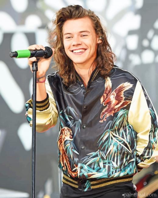 Long Hair Harry Styles Painting By Numbers Kits