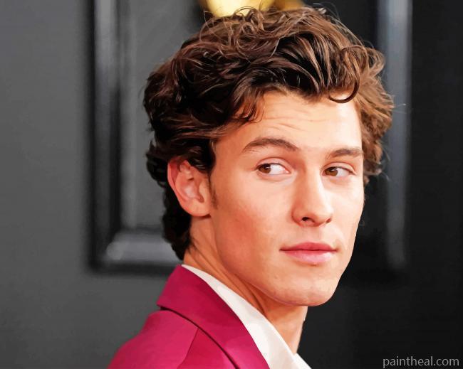 Shawn Mendes Canadian Singer Painting By Numbers Kits