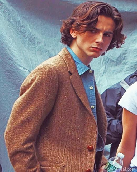 Classy Timothée Chalamet Painting By Numbers Kits