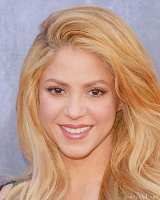 The Singer Shakira Painting By Numbers Kits