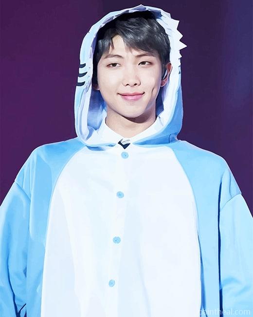 Cute Kim Namjoon RM Painting By Numbers Kits