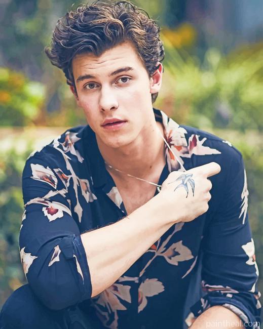 Cute Shawn Mendes Painting By Numbers Kits