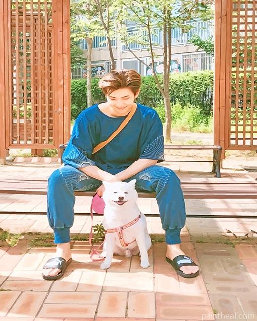 Namjoon And His Puppy Painting By Numbers Kits