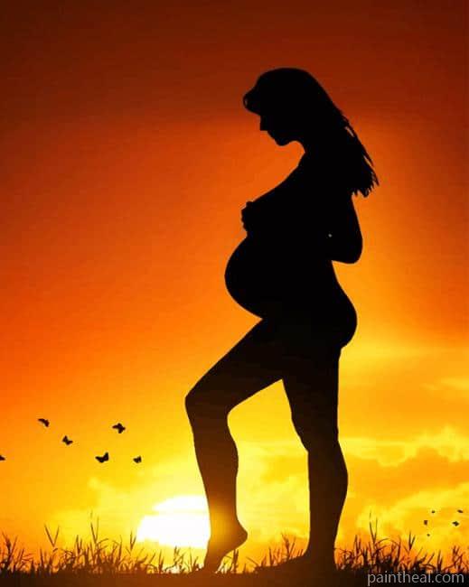 Pregnant Woman Silhouette Painting By Numbers Kits