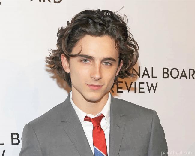 Timothee Chalamet with Classy Suit Painting By Numbers Kits