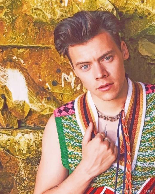 Harry Styles Photoshoot Painting By Numbers Kits