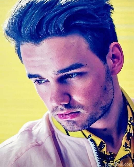 Liam Payne One Direction Painting By Numbers Kits