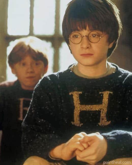 Harry Potter And Ron Painting By Numbers Kits
