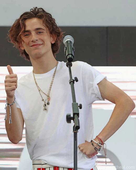 Timothee Chalamet On The Stage Painting By Numbers Kits