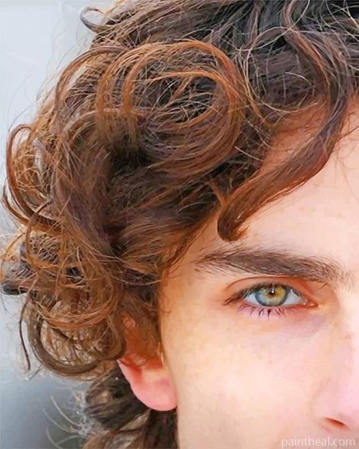 Timothee Chalamet Eye Painting By Numbers Kits
