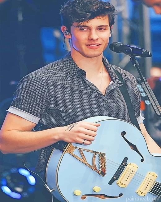 Shawn Mendes On Stage Painting By Numbers Kits
