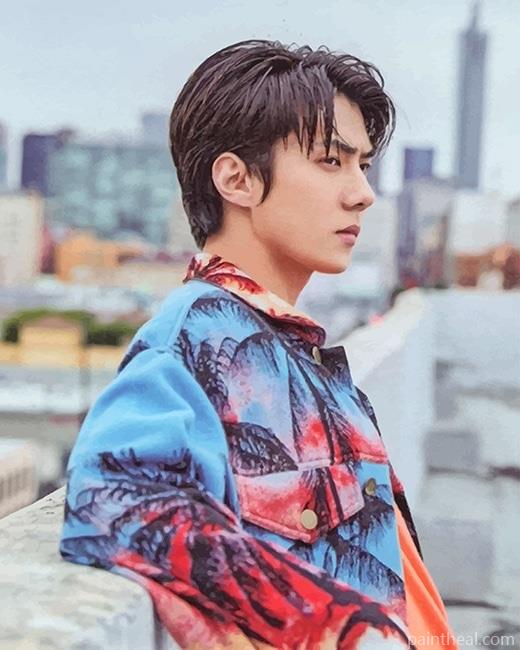 The Korean Idol Oh Sehun Painting By Numbers Kits