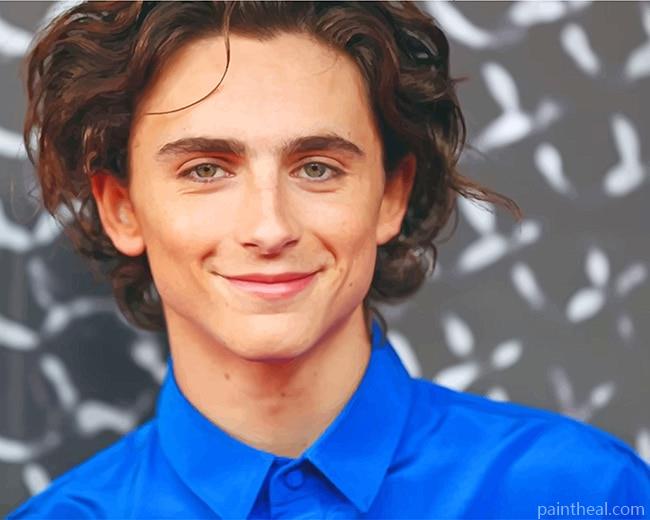 The Actor Timothee Chalamet Painting By Numbers Kits