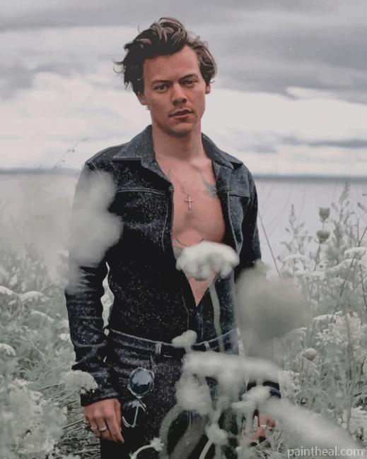 Photoshoot Harry Styles Painting By Numbers Kits