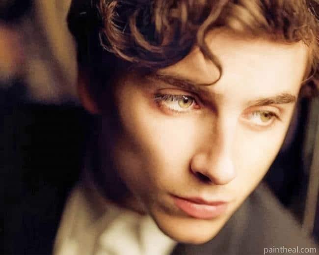Vintage Timothée Chalamet Painting By Numbers Kits