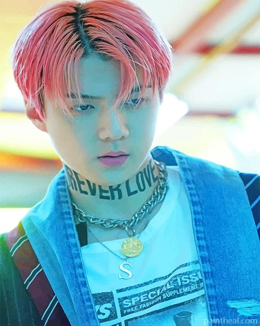 Sehun Pink Hair Painting By Numbers Kits