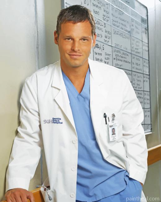 Alex Karev Greys Anatomy Painting By Numbers Kits